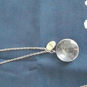 Vintage real dandelion wish 19" chain.